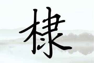 带棣字的男孩名字宝典