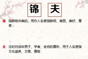 适合男孩带金字旁的名字