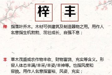 起名五行属木的男孩名字